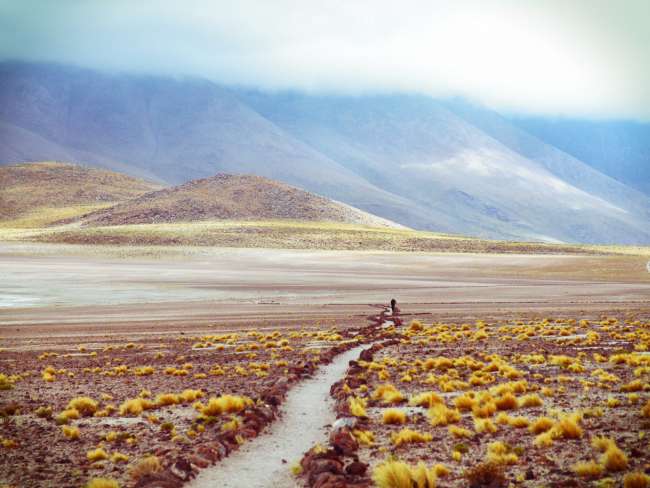 Just before the rain in the Atacama Desert