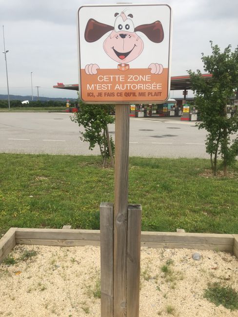 very dog-friendly rest areas on the highway