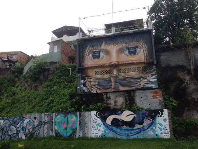 Brasilien: Manaus