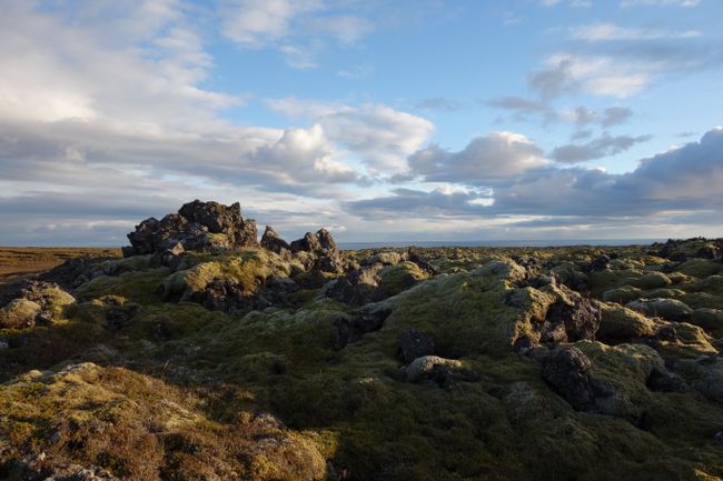 the lava field at Ögmundarhraun