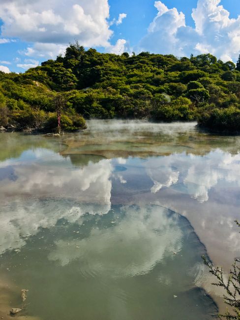 Mineralsee mit blubbernden Quellen in Rotorua/Whakarewarewa 