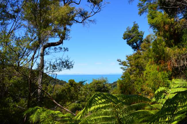 Abel Tasman Nasionale Park