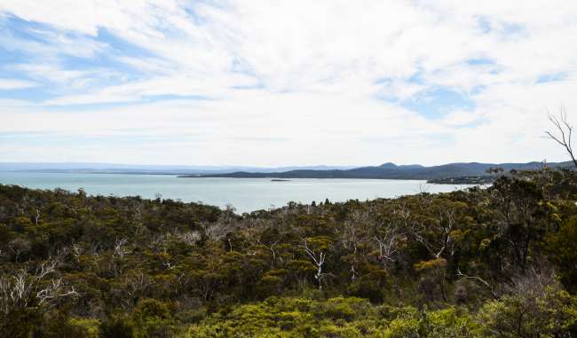 04.11.2016 - Tasmanien, Freycinet-Nationalpark (Coles Bay)