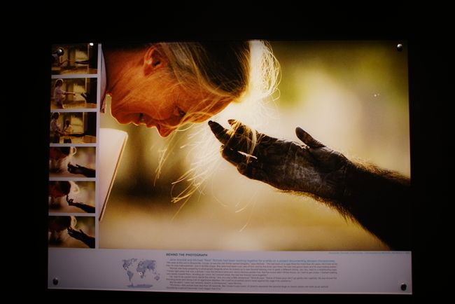 19/05/2018 - "Foto 50 Kachasị ukwuu - National Geographic" na Nelson