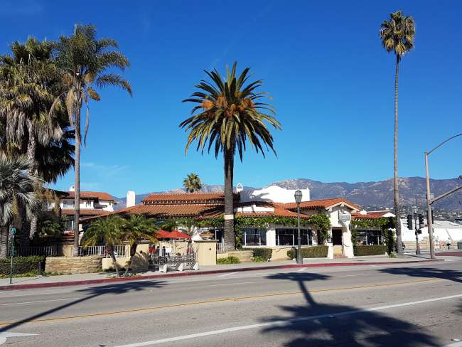 Palms and blooming plants even in December: Santa Barbara