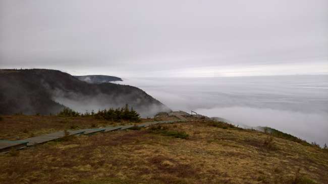 Rising fog (Skyline Trail)