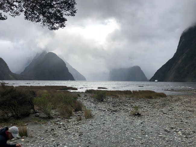 Südinsel 2.0-Unser Abenteuer am anderen Ende der Welt
