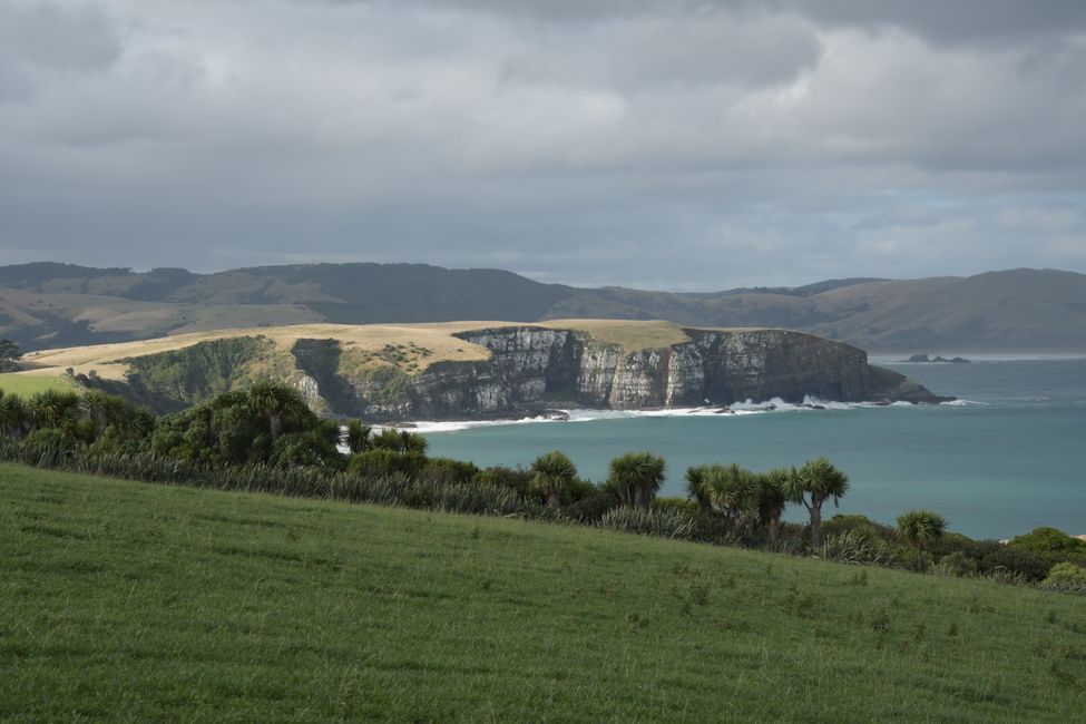 Catlins - On the way to Jack's Blowhole