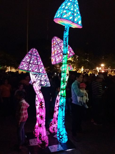 Festival der Farben in Merida