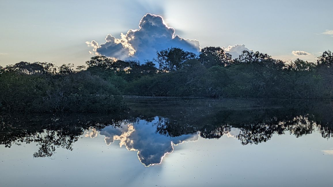 1. Tag Amazonas Dschungel