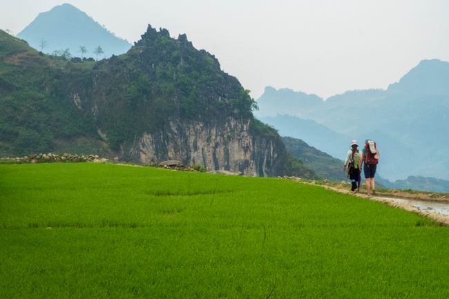 Oft verläuft unser Weg auf den schmalen Wällen der Reisfelder in Mitten der terrassierten Landschaft.