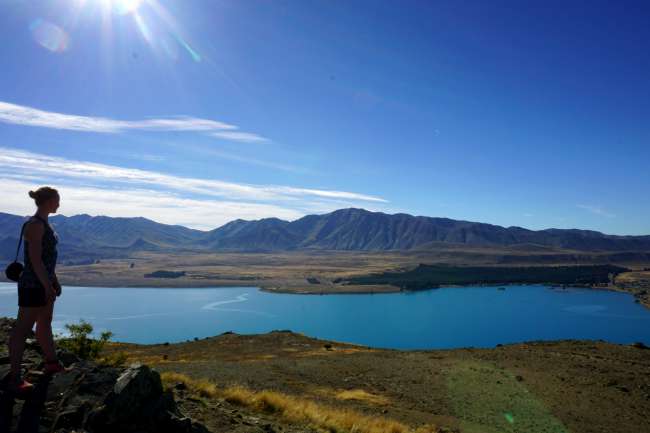Blick über den Lake Tekapo
