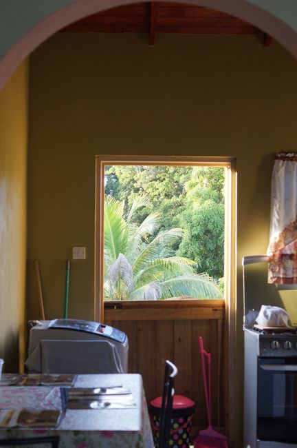 Ausblick aus unserem Küchenfenster 