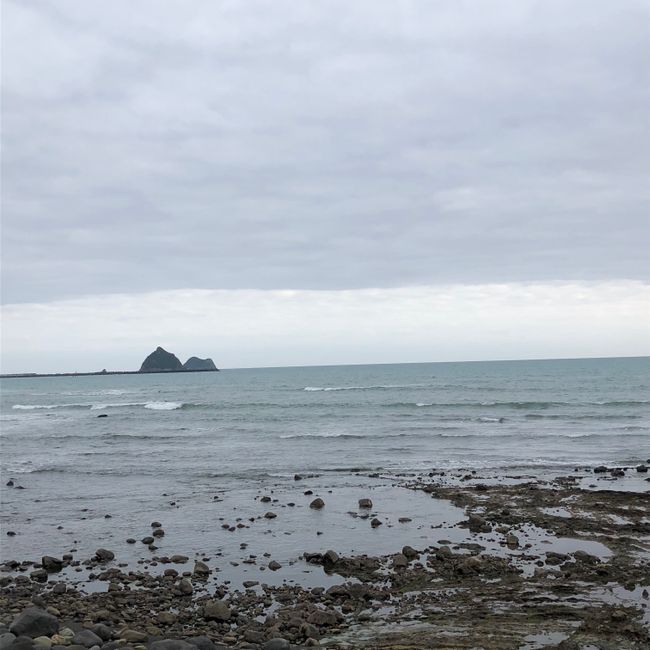 Day 8: Wellington - New Plymouth