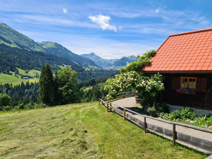Vista del Kleinwalsertal