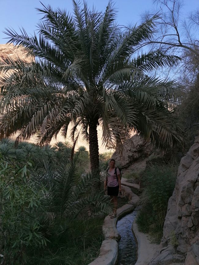 عمان وادی سویه