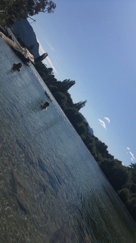 swimming in the Matakitaki River