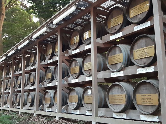 Sake barrels donated to the shrine by local breweries (under Emperor Meiji, there was an industrial boom)