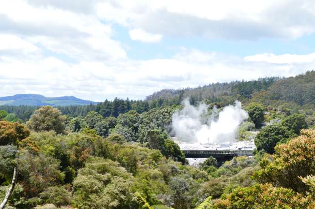 Te Puia - Vapeur de geyser, culture Maori et un kiwi vivant