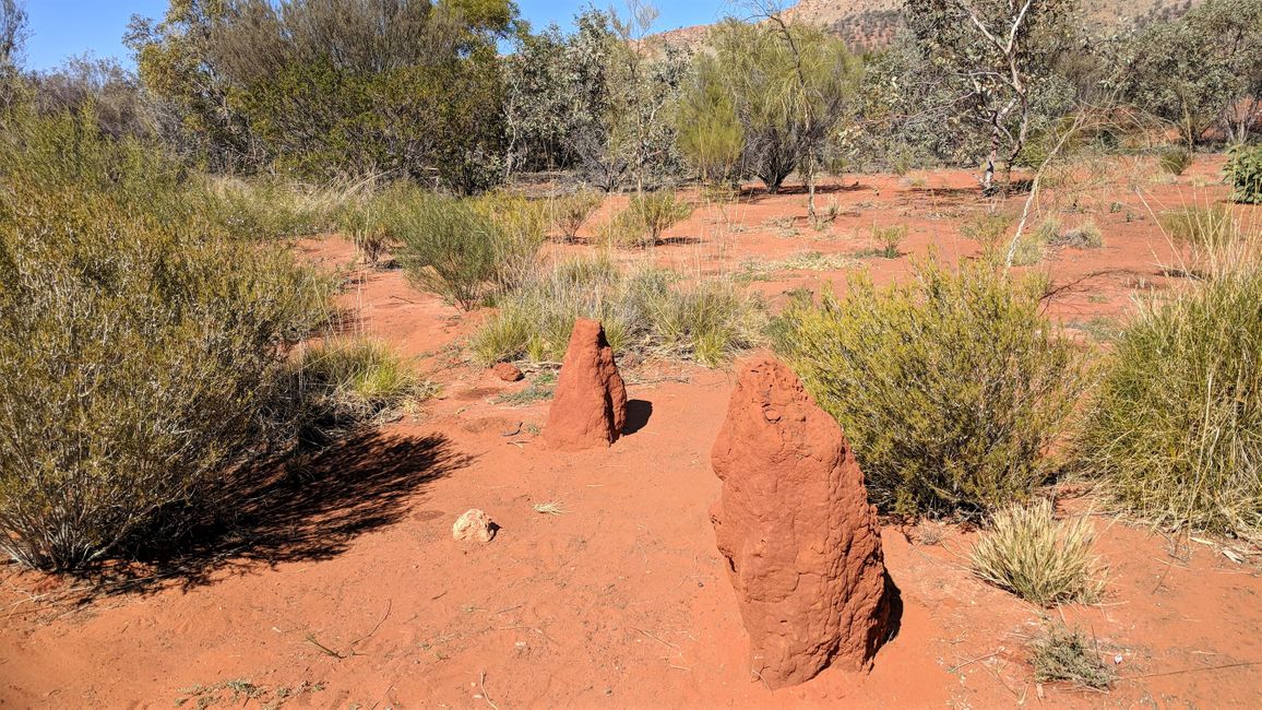 Desert park Alice Springs