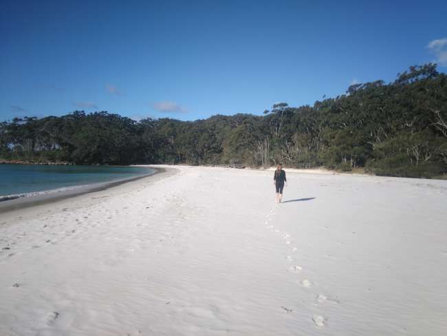 Jervis Bay - White sand beaches