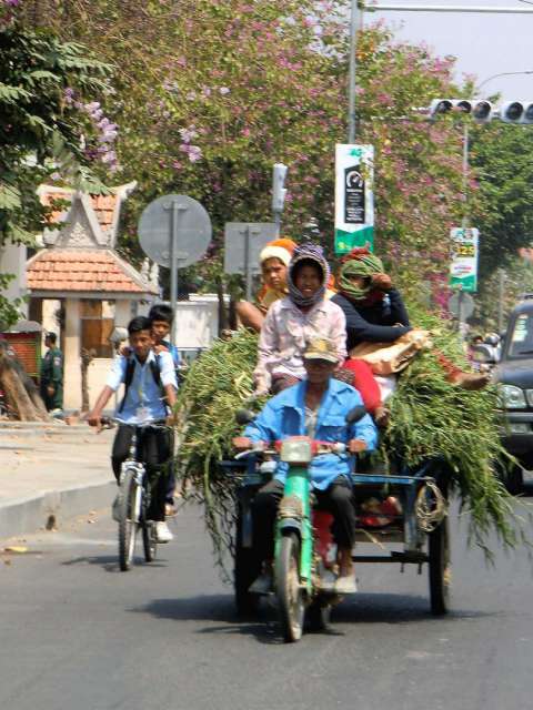 aber eins steht fest...das Moped kann einfach alles in Asien!
