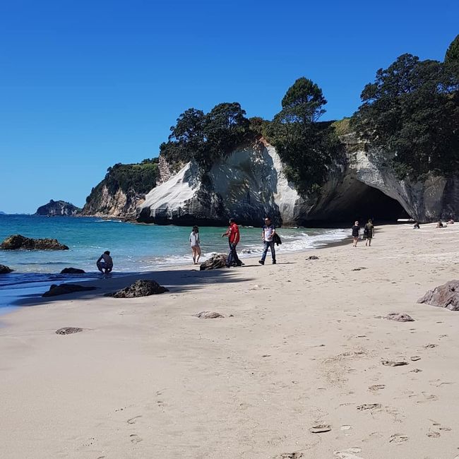 Hot Water Beach and Cathedral Cove