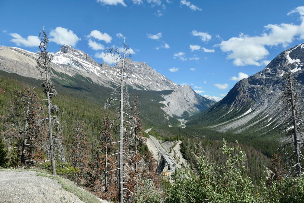 Mon. 11.7.: Dream road Icefields Pkwy