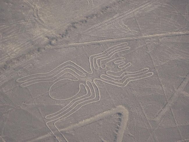 Nasca Lines: the Spider