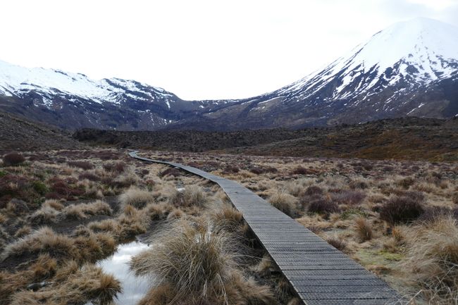 New Zealand Bahagian 2: Mata Air Panas dan Gunung Berapi