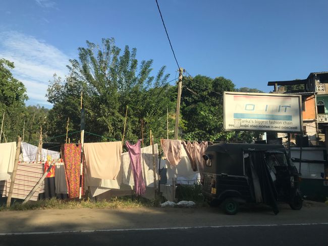 Wäscherei in Kandy - gewaschen wird im Fluss 🤭