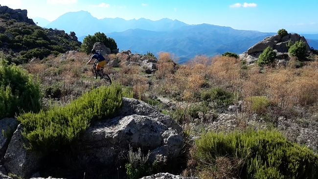 #6 Wildes Korsika - 3 knackige Trailtouren