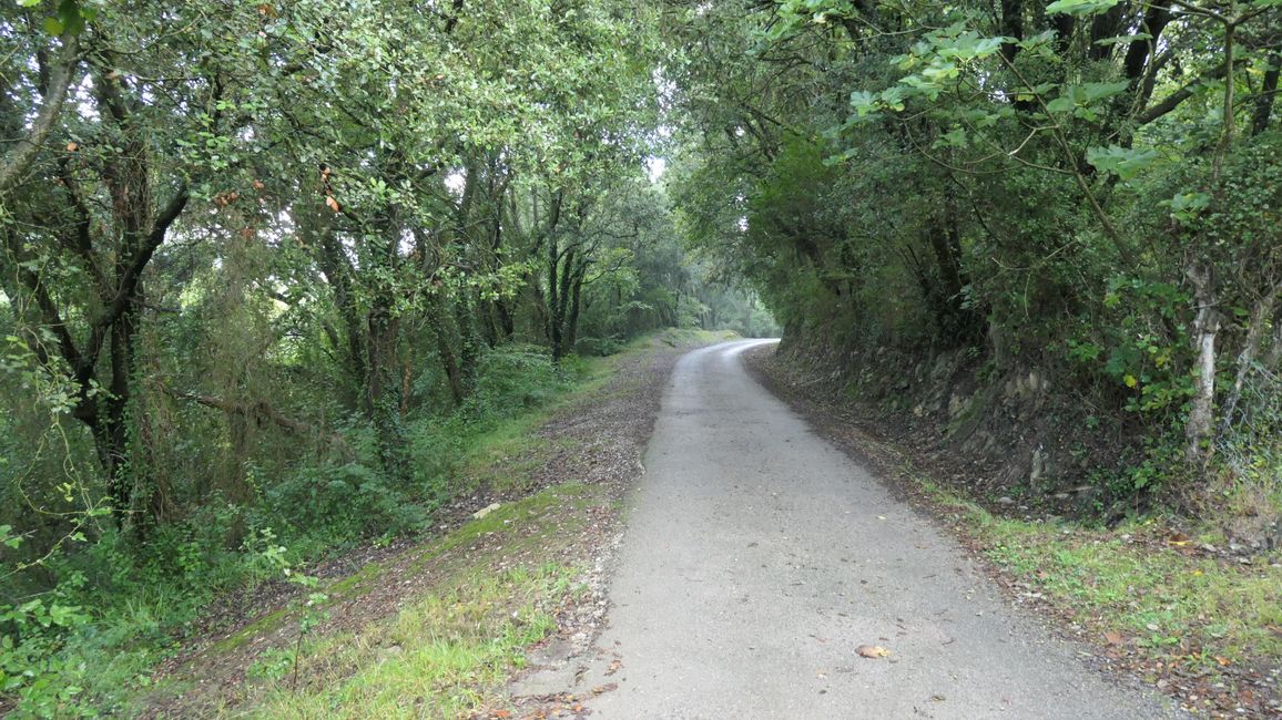 Stage 8 Onton to Laredo