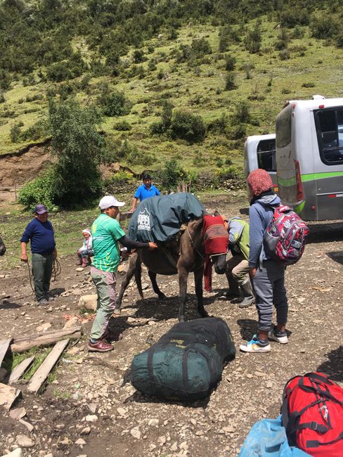 Salkantay Trek - luggage transport is done by horses, donkeys & mules...