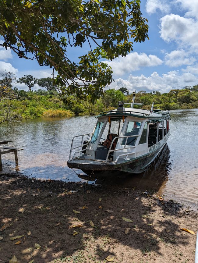 3. Tag im Amazonas-Dschungel