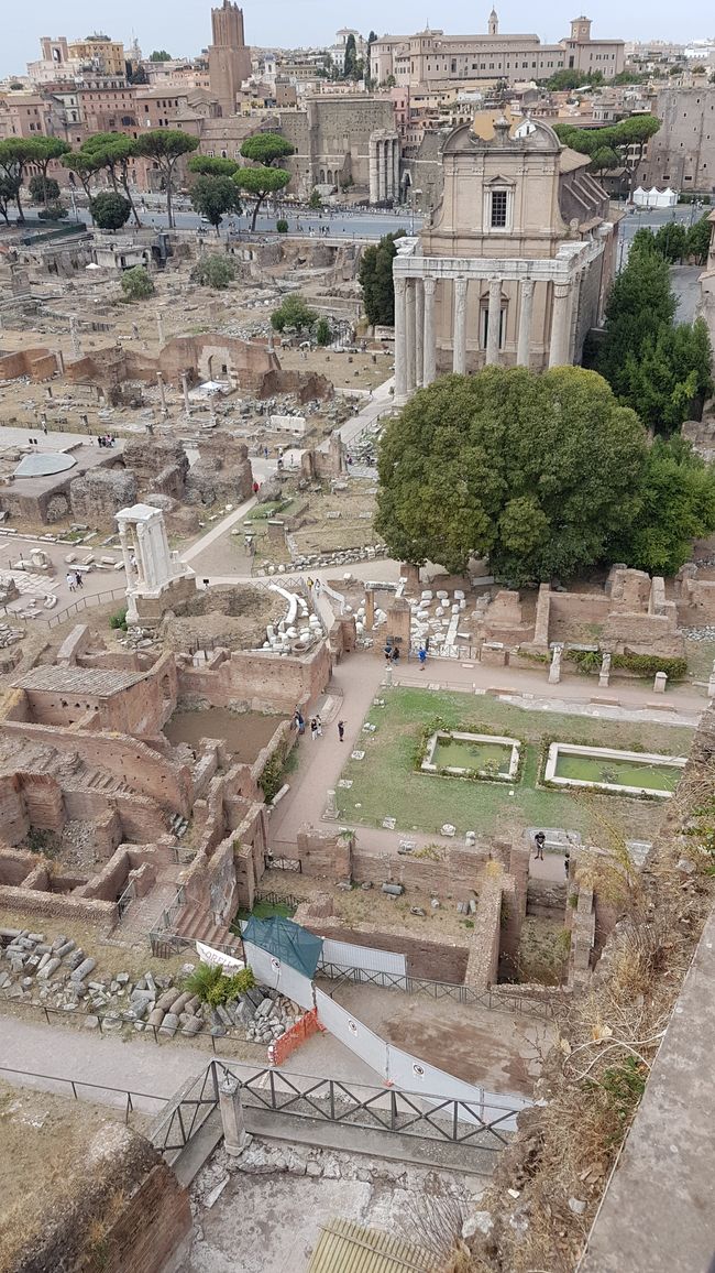 Forum Romanum von oben - Teil 3