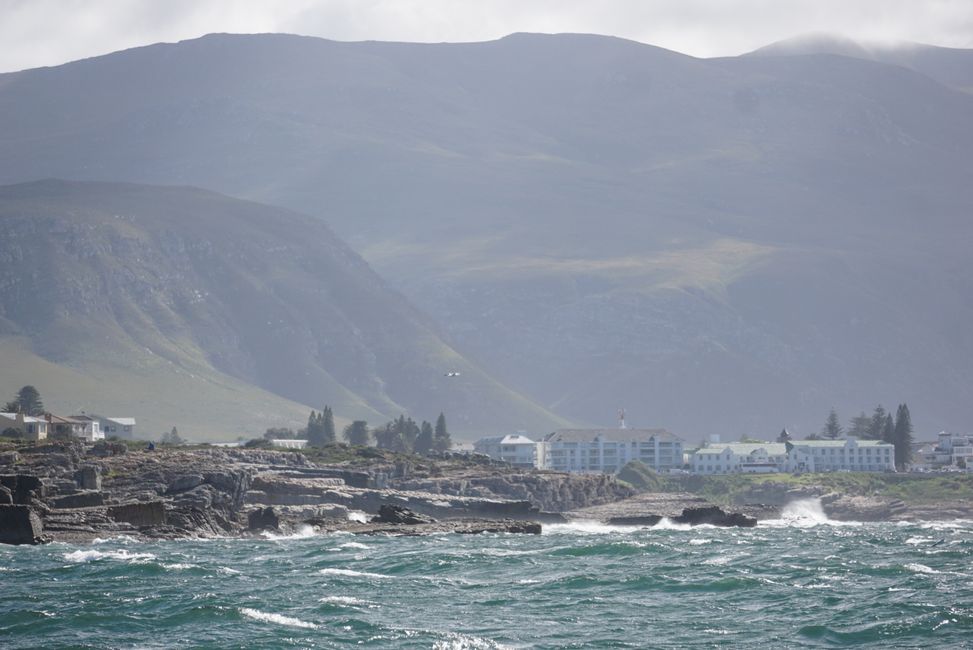 Hermanus ♥️
