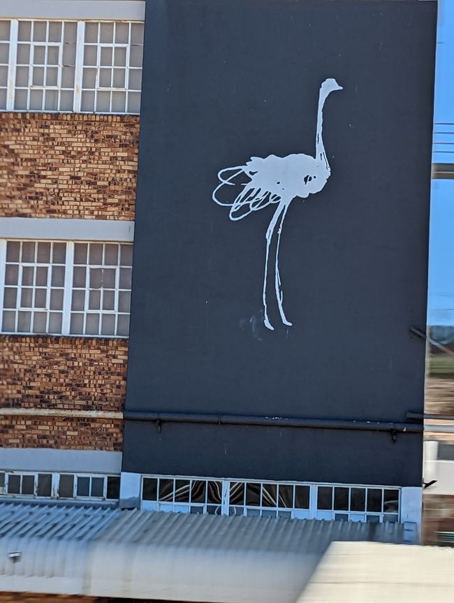 Knysna, Mossel Bay, Oudtshoorn