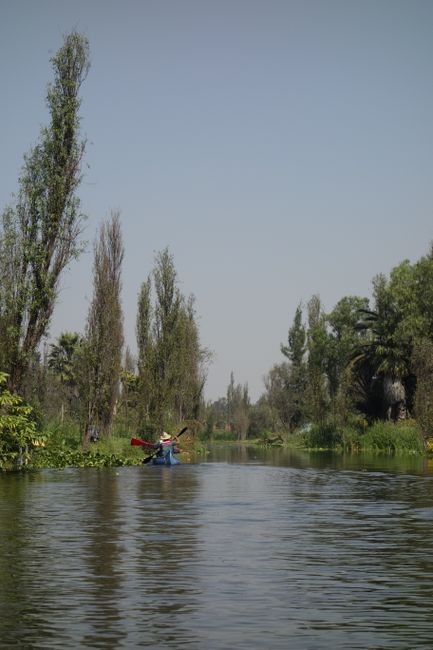 The canals at Xochimilco