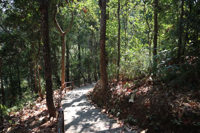 Footpath to Sirithan Waterfall.