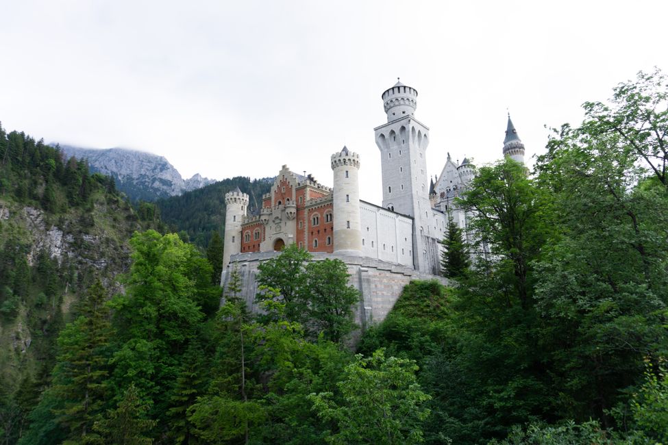 Schloss Neuschwanstein (von Aussichtsplattform aus)