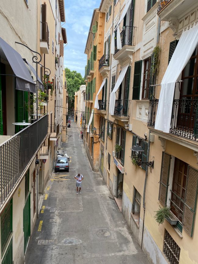 Through the streets of Palma