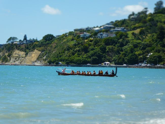 waka - Maori canoe