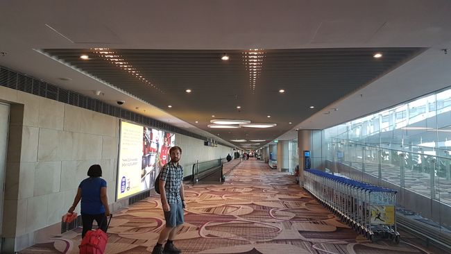 سنگاپور: آرڪيٽيڪچر ۽ شاپنگ مال