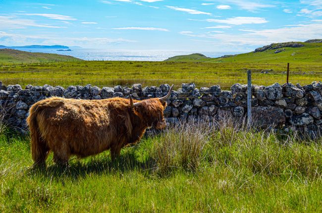 Tag 76 - Drumbeg Viewpoint