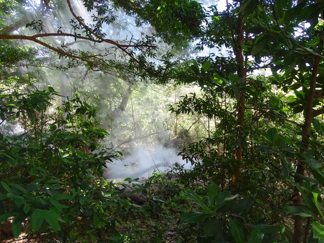 traces of the volcano in the jungle