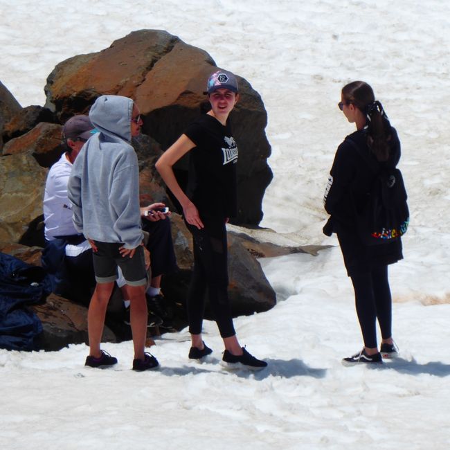 22.12.19 Mount Ruapehu, Rangipo Desert and a broken camper