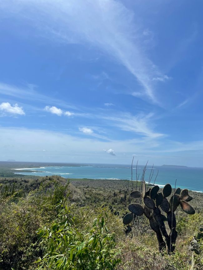 Sehlekehleke sa Isabela - Galapagos