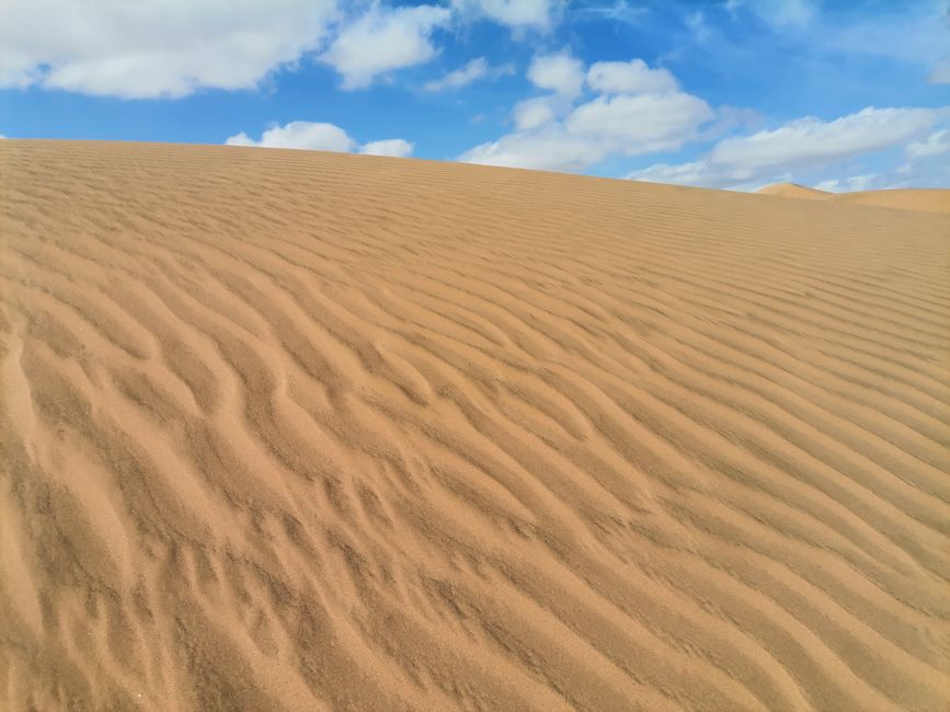 KSA, the highest dune in Arabia