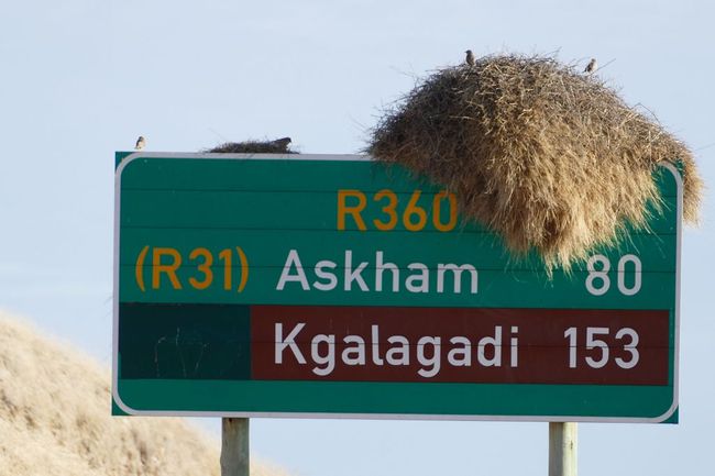 Auf in die Kalahari